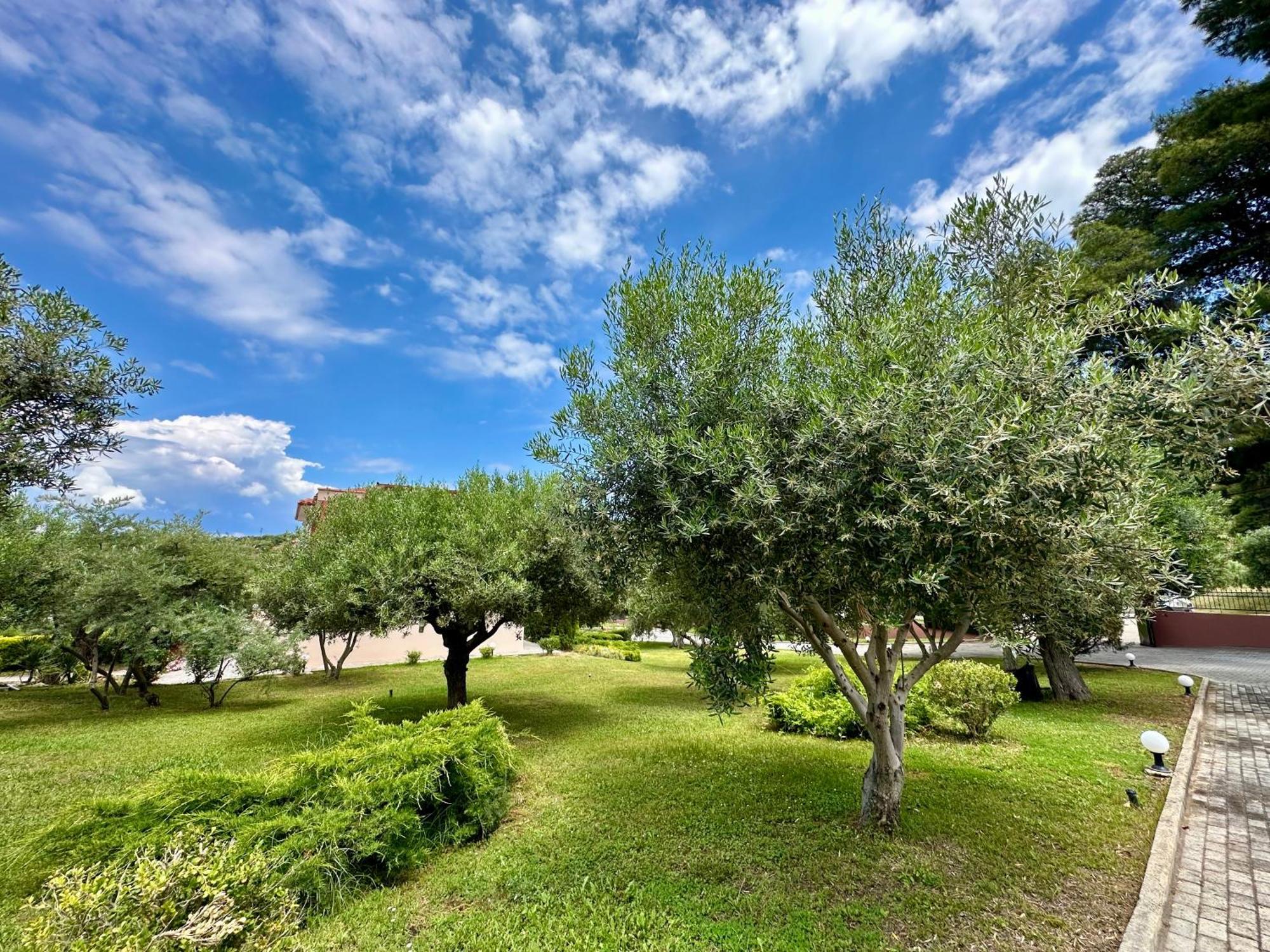 Agrili Apartments & Rooms Элия Экстерьер фото